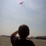 Go Fly a Kite