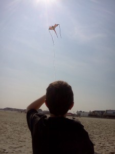 Go Fly a Kite